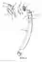Fig. 04 - Dry snorkel for diving