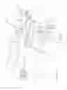 Fig. 03 - IMPROVED APPARATUS FOR FILLING CONTAINERS WITH HORTICULTURAL PRODUCTS AND RELATIVE METHOD