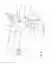 Fig. 05 - IMPROVED APPARATUS FOR FILLING CONTAINERS WITH HORTICULTURAL PRODUCTS AND RELATIVE METHOD