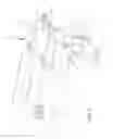 Fig. 08 - IMPROVED APPARATUS FOR FILLING CONTAINERS WITH HORTICULTURAL PRODUCTS AND RELATIVE METHOD
