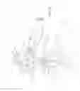 Fig. 10 - IMPROVED APPARATUS FOR FILLING CONTAINERS WITH HORTICULTURAL PRODUCTS AND RELATIVE METHOD