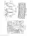 Fig. 10 - Container
