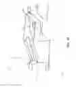 Fig. 14 - Crane maneuvering assistance