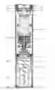 Fig. 01 - Multifuntional electric wine opener