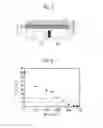 Fig. 06 - Substrate for diaphragm-type resonant MEMS devices, diaphragm-type resonant MEMS device and method for manufacturing same