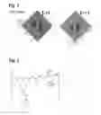 Fig. 03 - Method for producing organic helical structure, and organic helical structure produced using said method