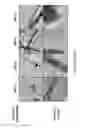 Fig. 03 - Synthesis of cerium oxide nanorods