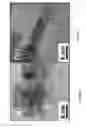Fig. 09 - Synthesis of cerium oxide nanorods