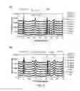 Fig. 05 - Inorganic admixtures for mitigating against conversion phenomena in high-alumina cements