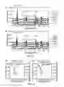 Fig. 08 - Inorganic admixtures for mitigating against conversion phenomena in high-alumina cements