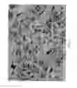 Fig. 03 - Building products composites and methods