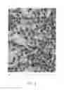 Fig. 04 - Building products composites and methods