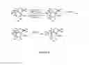 Fig. 05 - METHODS OF SYNTHESIS OF INGENOL AND INTERMEDIATES THEREOF