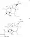Fig. 111 - METHODS OF SYNTHESIS OF INGENOL AND INTERMEDIATES THEREOF