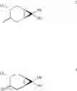 Fig. 12 - METHODS OF SYNTHESIS OF INGENOL AND INTERMEDIATES THEREOF