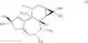 Fig. 125 - METHODS OF SYNTHESIS OF INGENOL AND INTERMEDIATES THEREOF