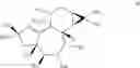 Fig. 156 - METHODS OF SYNTHESIS OF INGENOL AND INTERMEDIATES THEREOF