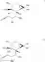 Fig. 18 - METHODS OF SYNTHESIS OF INGENOL AND INTERMEDIATES THEREOF