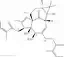 Fig. 33 - METHODS OF SYNTHESIS OF INGENOL AND INTERMEDIATES THEREOF