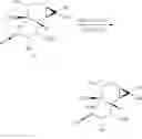 Fig. 41 - METHODS OF SYNTHESIS OF INGENOL AND INTERMEDIATES THEREOF