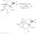 Fig. 42 - METHODS OF SYNTHESIS OF INGENOL AND INTERMEDIATES THEREOF