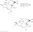 Fig. 43 - METHODS OF SYNTHESIS OF INGENOL AND INTERMEDIATES THEREOF