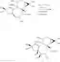Fig. 44 - METHODS OF SYNTHESIS OF INGENOL AND INTERMEDIATES THEREOF