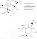 Fig. 47 - METHODS OF SYNTHESIS OF INGENOL AND INTERMEDIATES THEREOF