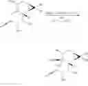 Fig. 57 - METHODS OF SYNTHESIS OF INGENOL AND INTERMEDIATES THEREOF