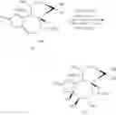 Fig. 63 - METHODS OF SYNTHESIS OF INGENOL AND INTERMEDIATES THEREOF