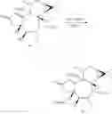 Fig. 64 - METHODS OF SYNTHESIS OF INGENOL AND INTERMEDIATES THEREOF