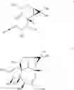 Fig. 67 - METHODS OF SYNTHESIS OF INGENOL AND INTERMEDIATES THEREOF