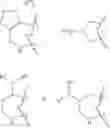Fig. 11 - Tetracycline compounds
