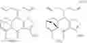 Fig. 145 - Tetracycline compounds