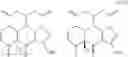 Fig. 146 - Tetracycline compounds