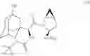 Fig. 05 - INTERMEDIATES USEFUL FOR THE PREPARATION OF SAXAGLIPTIN