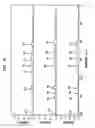 Fig. 14 - Polymorphic forms of ST-246 and methods of preparation