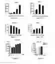 Fig. 11 - Sulphate salts of N-(3-(4-(3-(diisobutylamino)propyl)piperazin-1-yl)propyl)-1H-benzo[d]imidazol-2-amine, preparation thereof and use of the same