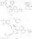 Fig. 281 - Therapeutic compounds