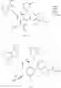 Fig. 374 - Therapeutic compounds