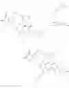 Fig. 415 - Therapeutic compounds