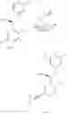 Fig. 447 - Therapeutic compounds