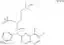 Fig. 62 - Naphthyridine derivative compounds