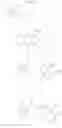 Fig. 20 - Heterocyclic derivates