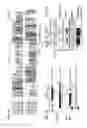 Fig. 11 - COMPOSITIONS AND METHODS FOR TREATING NEURODEGENERATIVE DISEASES AND CARDIOMYOPATHY