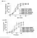 Fig. 16 - COMPOSITIONS AND METHODS FOR TREATING NEURODEGENERATIVE DISEASES AND CARDIOMYOPATHY