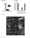 Fig. 24 - COMPOSITIONS AND METHODS FOR TREATING NEURODEGENERATIVE DISEASES AND CARDIOMYOPATHY
