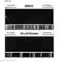 Fig. 32 - COMPOSITIONS AND METHODS FOR TREATING NEURODEGENERATIVE DISEASES AND CARDIOMYOPATHY
