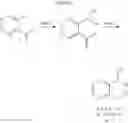 Fig. 14 - BORON-CONTAINING SMALL MOLECULES