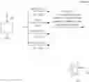 Fig. 35 - Transition metal complexes, their preparation and use